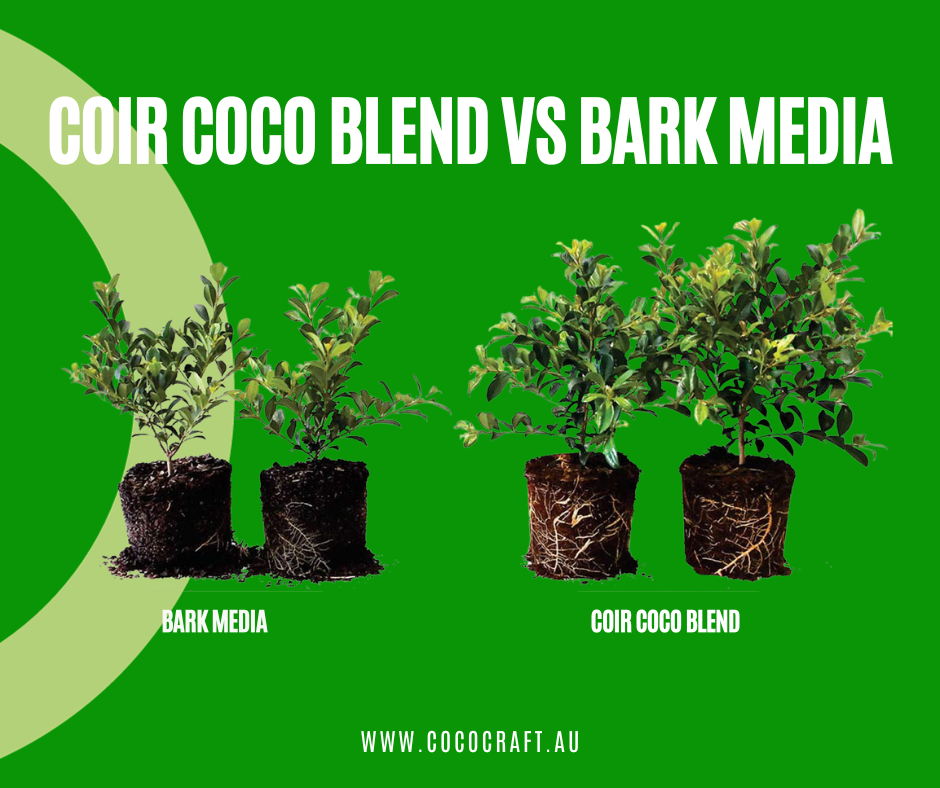 COCO CRAFT | Advantages Of using Cocopeats against Other Grow Medium