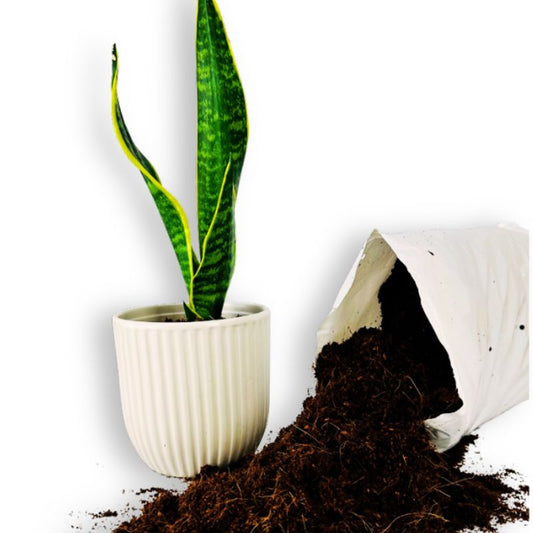 Coco Craft - Wet natural coco peat plant soil 8L